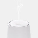 Mini USB Aromatherapy Diffuser and Humidifier